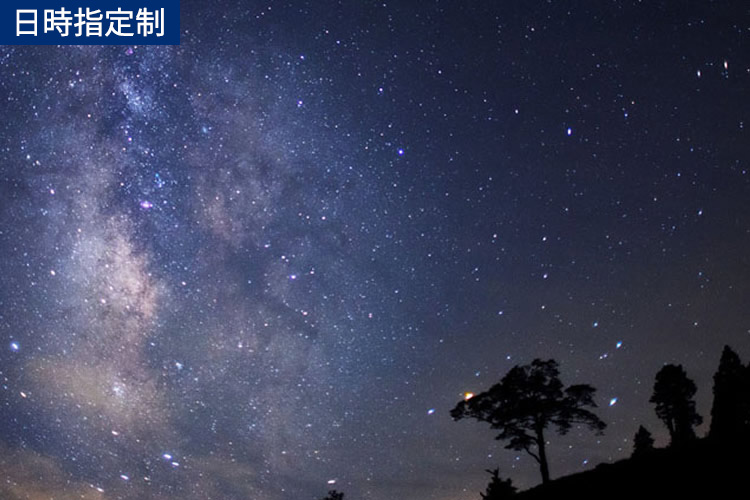 天空の楽園 Night Tour 2025