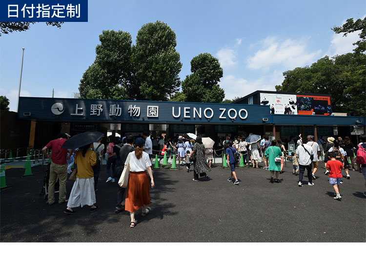 恩賜上野動物園 整理券予約サービス